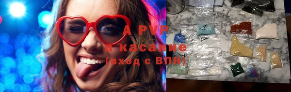 ECSTASY Ельня