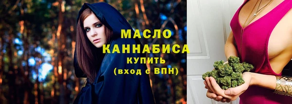 ECSTASY Ельня