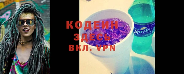 ECSTASY Ельня