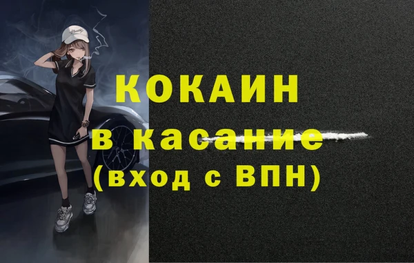 ECSTASY Ельня