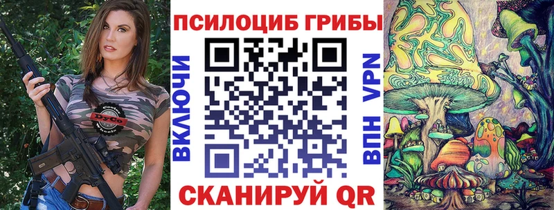 Псилоцибиновые грибы мицелий  Зерноград 