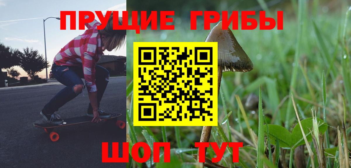 Псилоцибиновые грибы GOLDEN TEACHER  Псилоцибиновые грибы ЛСД  Зерноград  Вход с VPN 