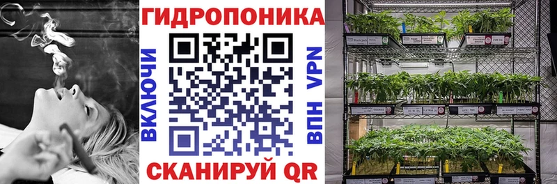 Каннабис семена  omg зеркало  Зерноград 